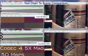 Canon C300 compared with Canon 5D Mark III