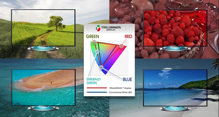 This image from Sony represents the expanded color gamut and shows examples of the difference.