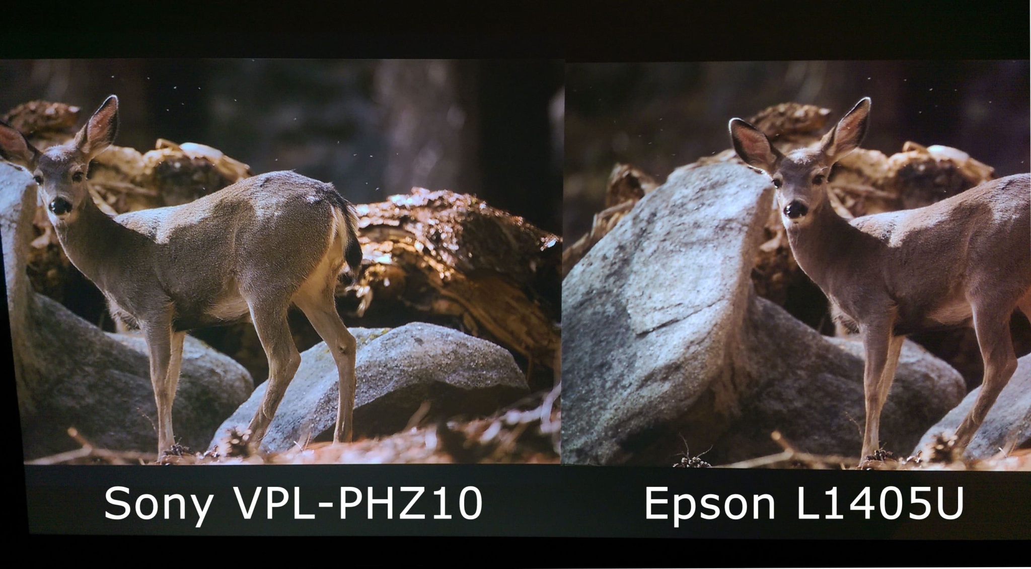 Detail Comparison on Sony VPL-PHZ10 next to Epson L1405U