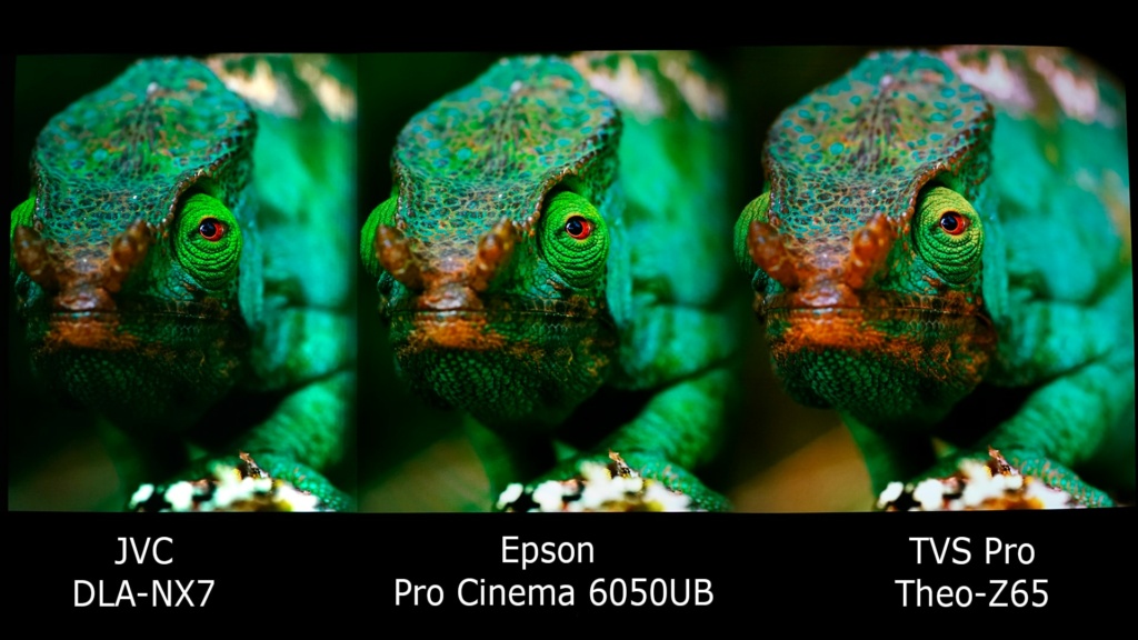 JVC DLA-NX7 vs Epson Pro Cinema 6050UB vs TVS Pro Theo-Z65 (Part I)