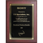 2005 - National Recognition for the Extraordinary Level of Performance &amp; Dedication from Sony