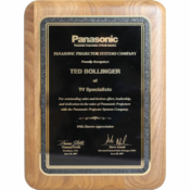 2007 - Ted Bollinger National Recognition for Outstanding Sales &amp; Dedication in the Sales of Panasonic Projectors