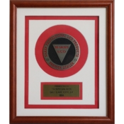 1994 - National Recognition as a Premier Dealer of Sharp Professional LCD Products