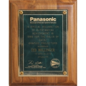 1995 - Ted Bollinger National Recognition for Outstanding Achievement by Panasonic
