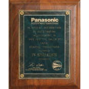 1995 - Awarded National Recognition for Outstanding Achievement by Panasonic