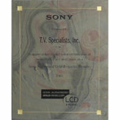 2001 - National Recognition for Extraordinary Performance and Dedication from Sony