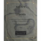 2002 - National Recognition for Extraordinary Performance and Dedication from Sony