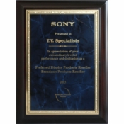 2003 - National Recognition For Extraordinary Level Of Performance &amp; Dedication from Sony