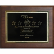 2004 - National Recognition for being an All Star Business Partner by Optoma