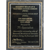 2004 - Top Performing Flagship Dealer Award from Panasonic