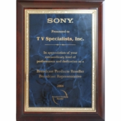 2004 - National Recognition for Extraordinary Level of Performance &amp; Dedication from Sony